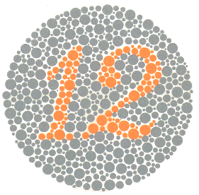 การทดสอบตาบอดสี Color Blindness Test