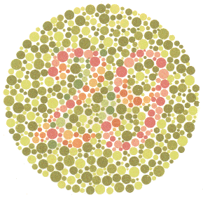 การทดสอบตาบอดสี Color Blindness Test