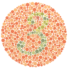 การทดสอบตาบอดสี Color Blindness Test