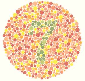 การทดสอบตาบอดสี Color Blindness Test