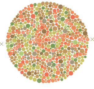 การทดสอบตาบอดสี Color Blindness Test