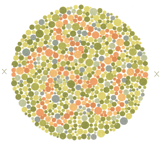 การทดสอบตาบอดสี Color Blindness Test